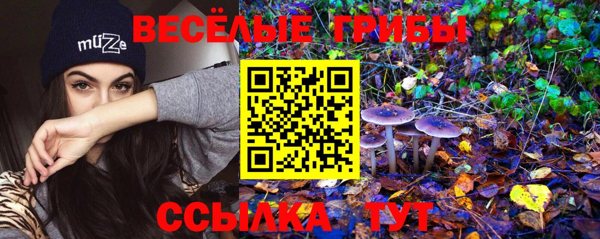 Псилоцибиновые грибы Cubensis Зерноград
