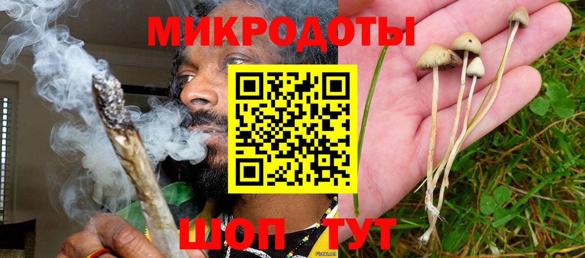 Галлюциногенные грибы ЛСД  Псилоцибиновые грибы Psilocybe  Вход с VPN  Зерноград 
